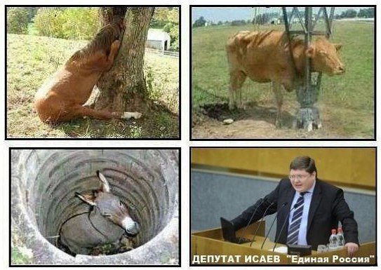 Депутат Госдумы назвал школьные домашние задания ненужными и призвал отказаться от них в пользу прогулок 