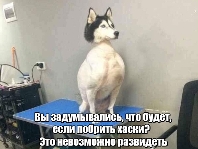 Нестандартный юмор