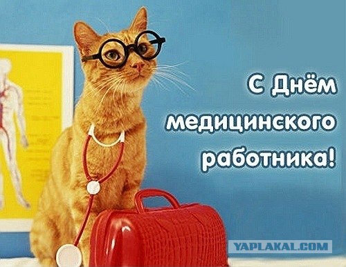 Котовторник  12. 06. 2012