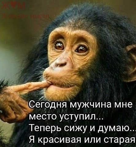 Картинки разные нужны, картинки всякие важны