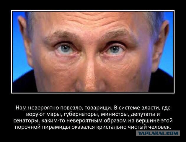«Олигархов решено не трогать». Депутат Госдумы предложил бороться с коррупцией с «низов».