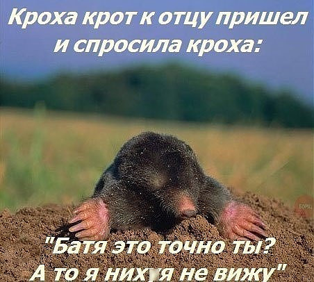 Дыра в безопасности