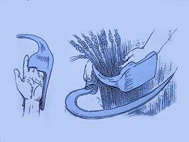 Коллекция необычных вещей, назначение некоторых вы точно не знали
