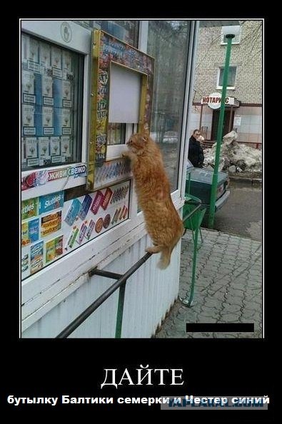 Сигареты, кофеек