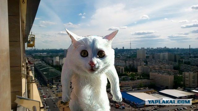 А у Вас какой вид из окна?