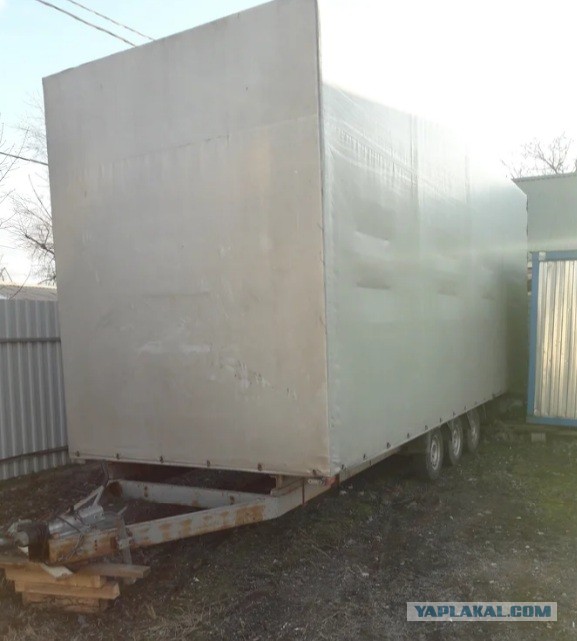 Газель. Просто газель