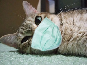 blondex. Rumer. par9. страницы блокнота