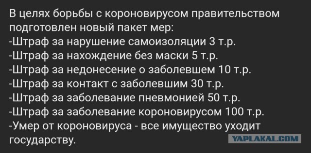 Молодоженов оштрафовали на 40 000 за выход на балкон