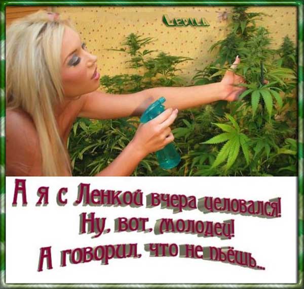 Очень пошлые картинки про это.18+