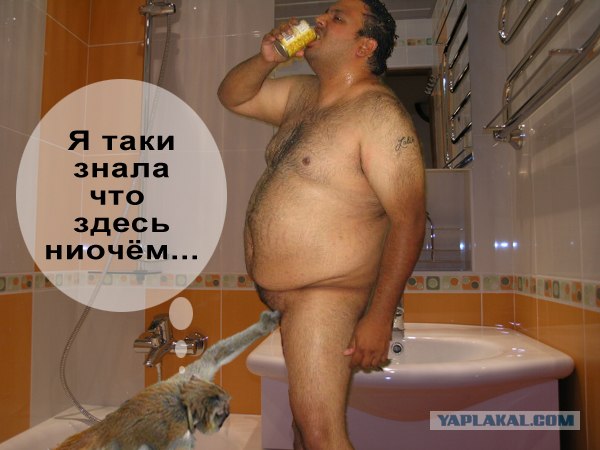 Неуловимый мститель