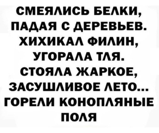 Прикольные и просто красивые картинки 19.11.2020