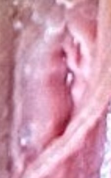 Беш-панжа, или Пятипалый шашлык