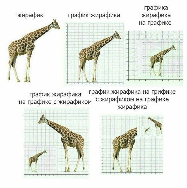 Дурацкие картинки