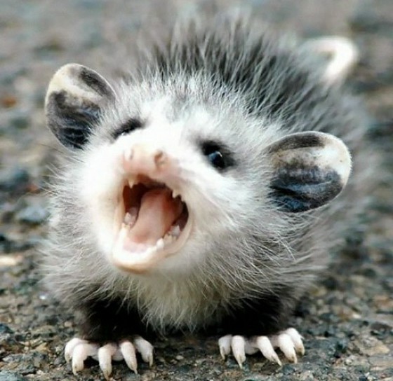 Отовсюду обо всем