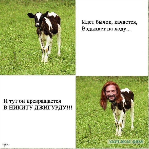 Джигурда на РеутовТВ