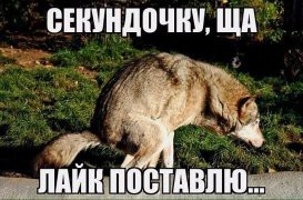 Сбывшееся предсказание