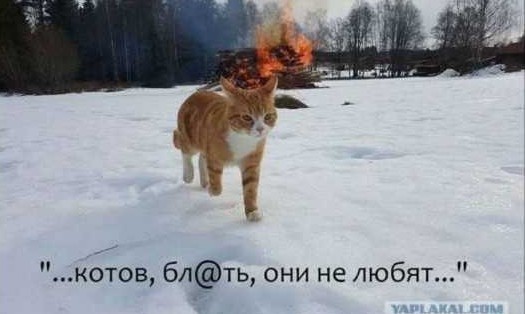Сильный и независимый