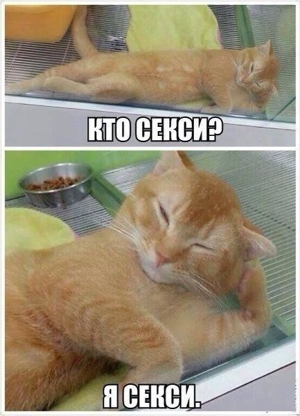 Юмор и прикольные картинки 14.05.2021