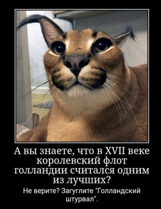 Бредзона 08.06.21