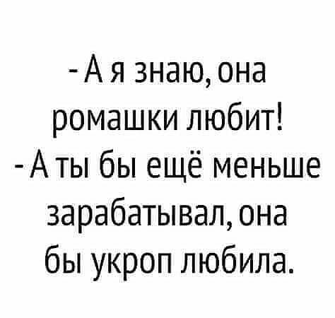 Весёлый полтишок 17.01