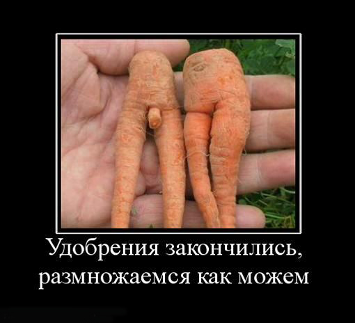 Путин поручил продлить до 31 августа ограничения на экспорт удобрений из России