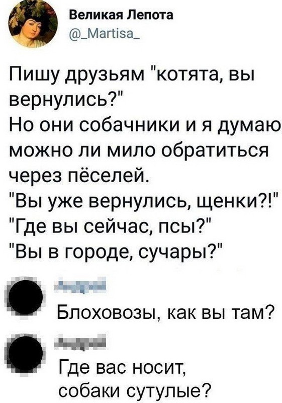 Веселые картинки!