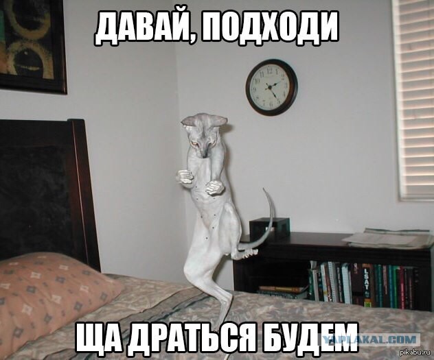 Подарок