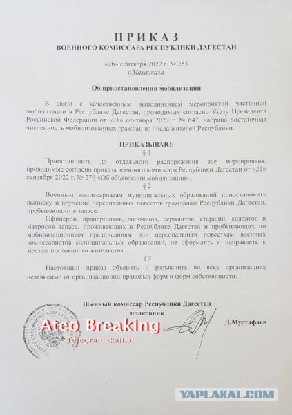 Почему некоторые бабы так активны за мобилизацию
