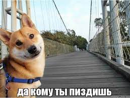 Медведев рассказал об ответе на теракт на Крымском мосту