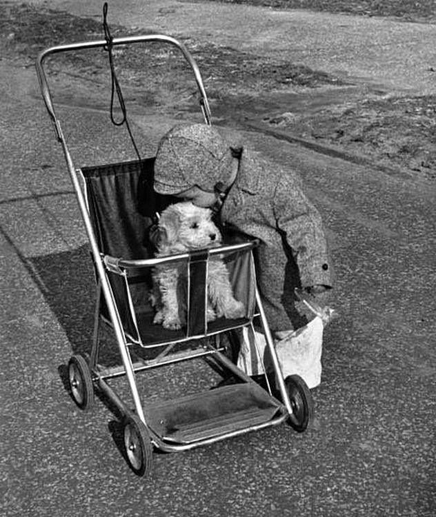 Уличные чёрно-белые фотографии. Весь мир