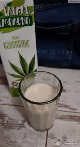 Воронежские учёные придумали, как производить молоко из конопли