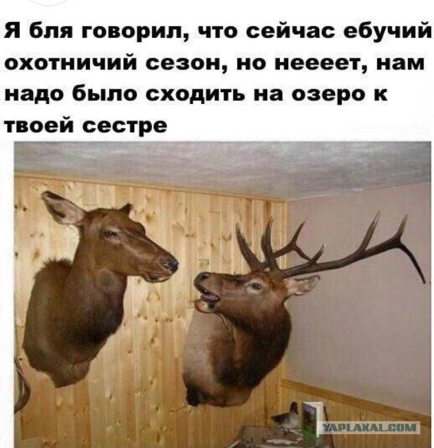 Налетай! Халявные бойаны!