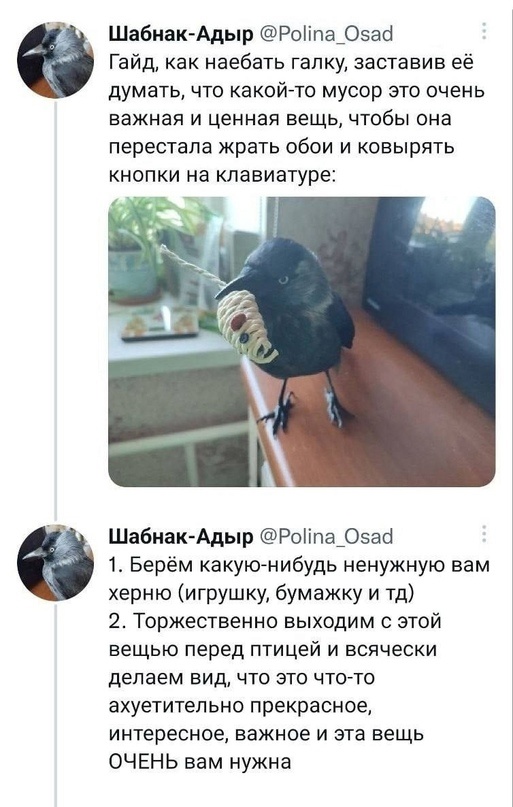 Так себе картинки 14.09.23