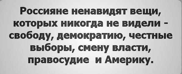 Так в ОАЭ встречают российскую делегацию