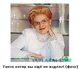 Автодемотиватор на ЯПе