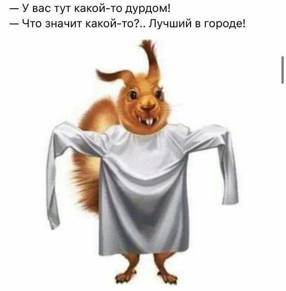 Забавные комментарии из социальных сетей (08.04.24)
