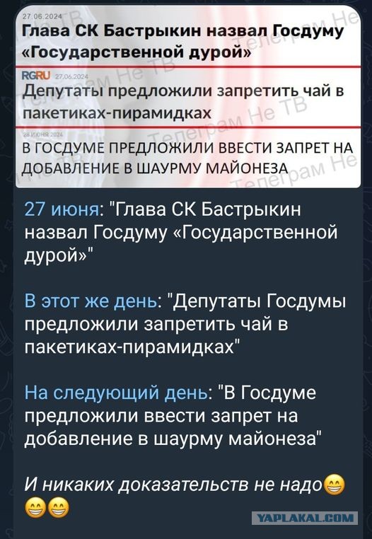 Бастрыкин упомянул о "Госдуре"