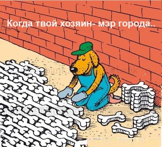 Картинки разные с надписями и без