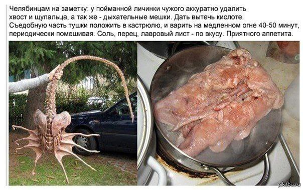 Околокулинарные картинки