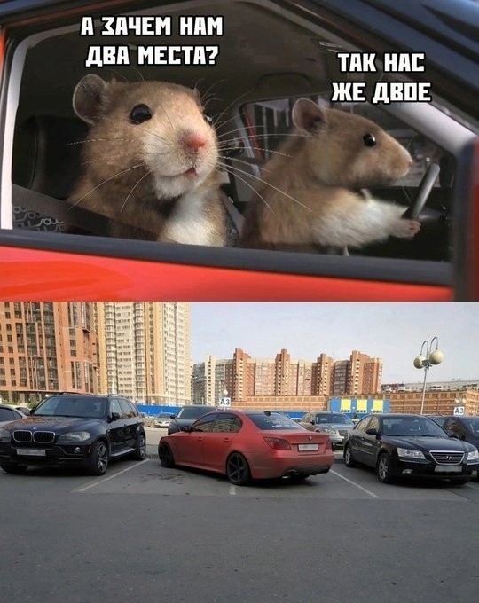 Заключительные баяны на этой неделе