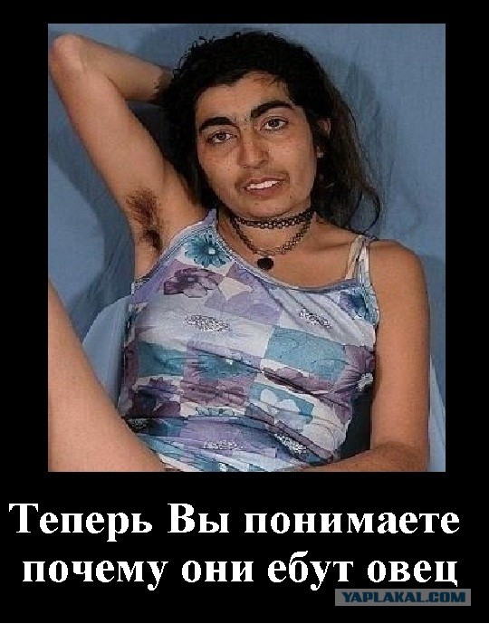Сегодня нашел спотривную сумку