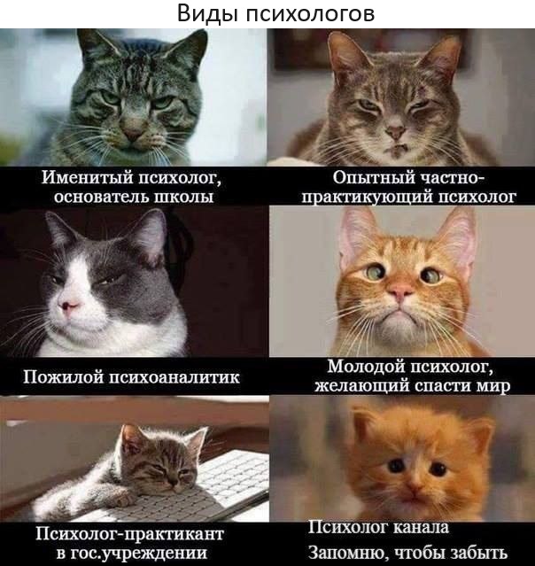 Картинки разные с надписями и без