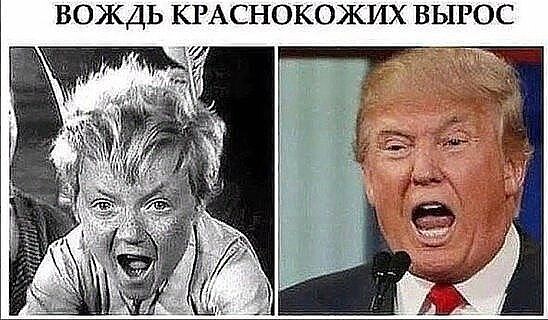 Весёлый полтишок 06.06.25