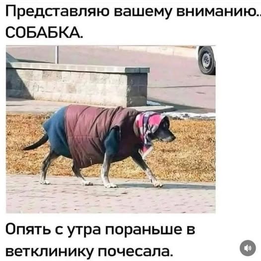 Пятничные бояны