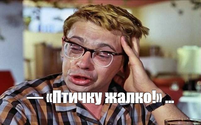 Чучело пингвина ссср