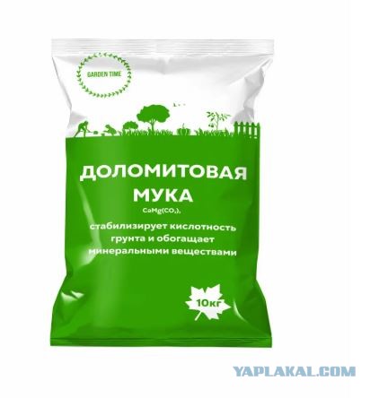 Мальчишки и Девчонки!
