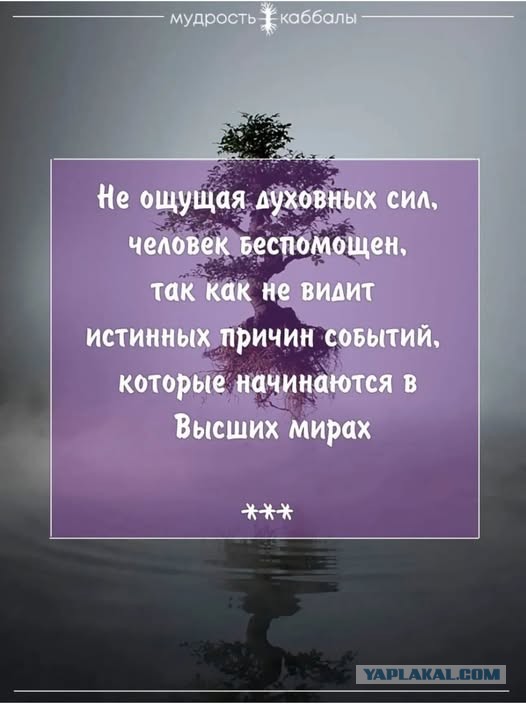 Вечер воскресенья