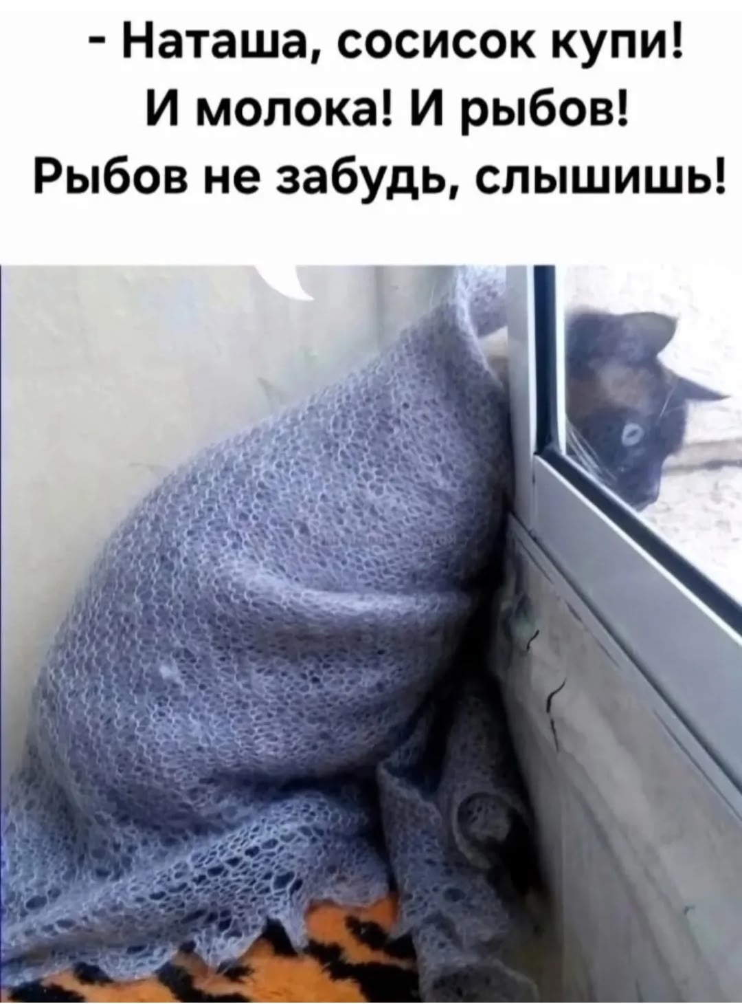 20740918.jpg