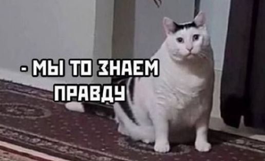 «Победа» ставила зауженные калибраторы для ручной клади