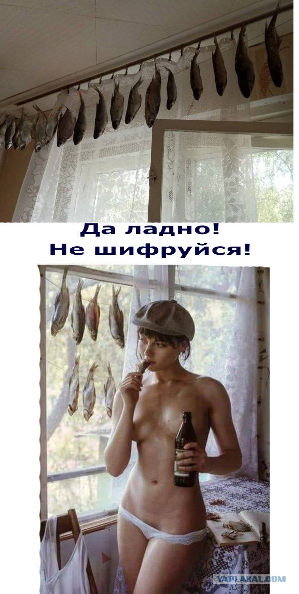 Забавные картинки, шутки из этих ваших интернетов